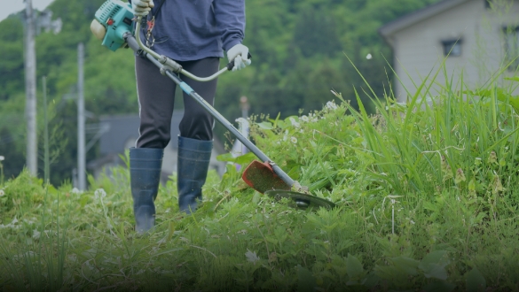 草刈り