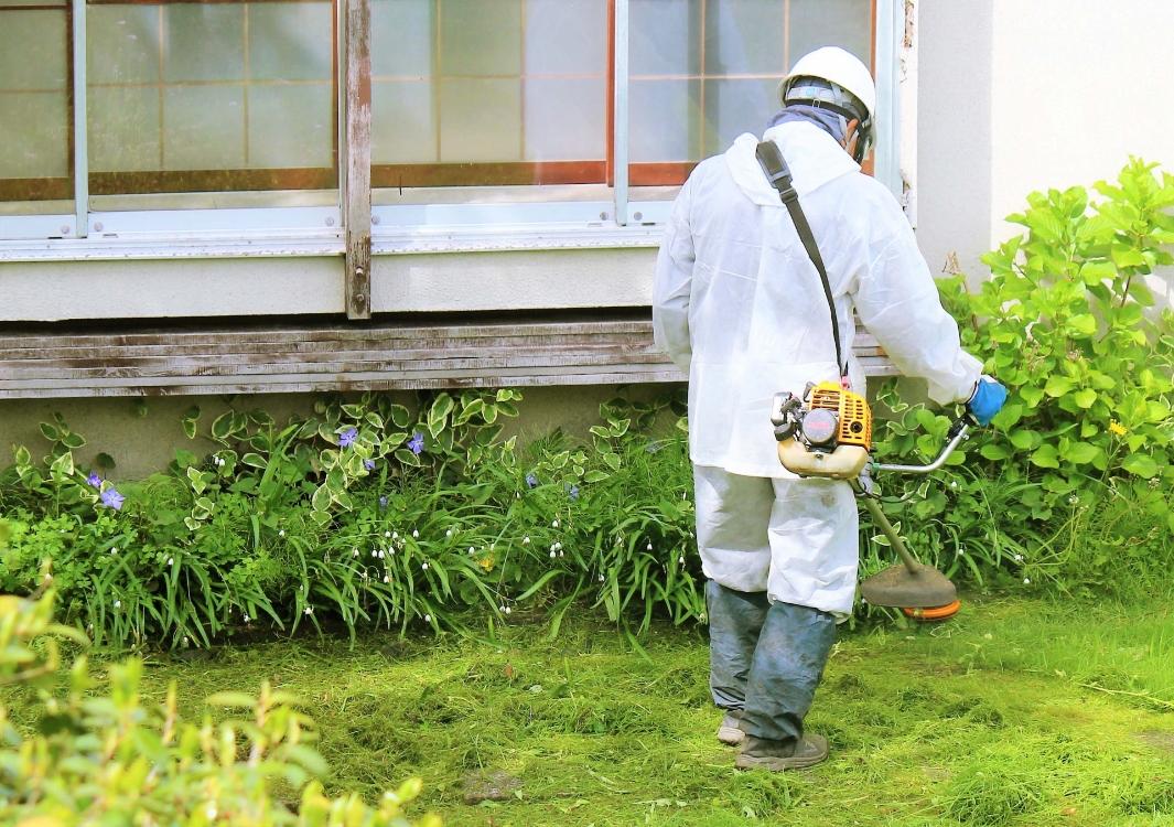 現地状況を確認したうえでの草刈り作業