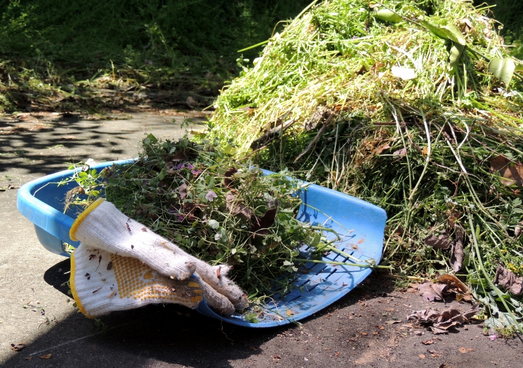 刈草の回収と整理作業