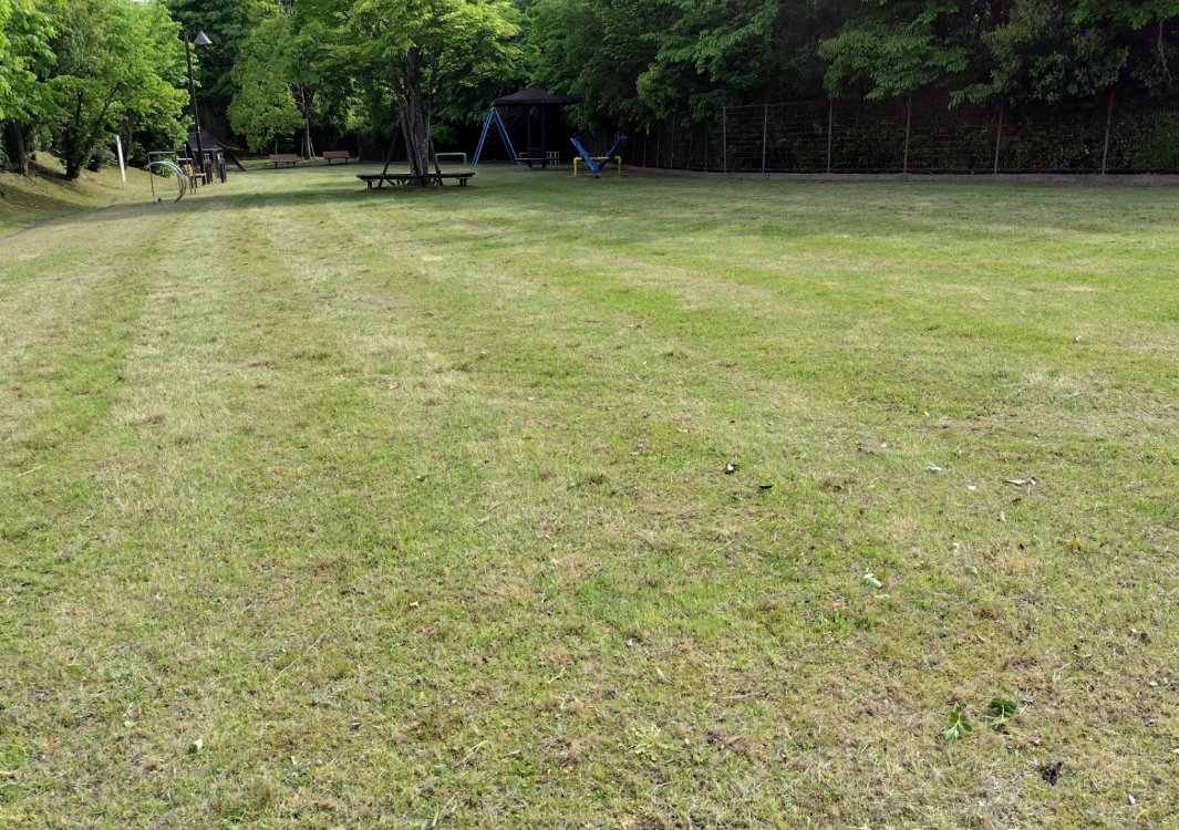 敷地管理につながる草刈り