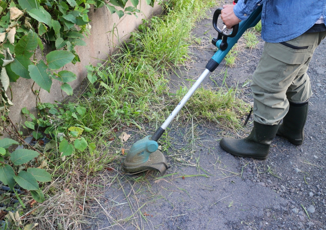 現地確認をもとにした作業計画
