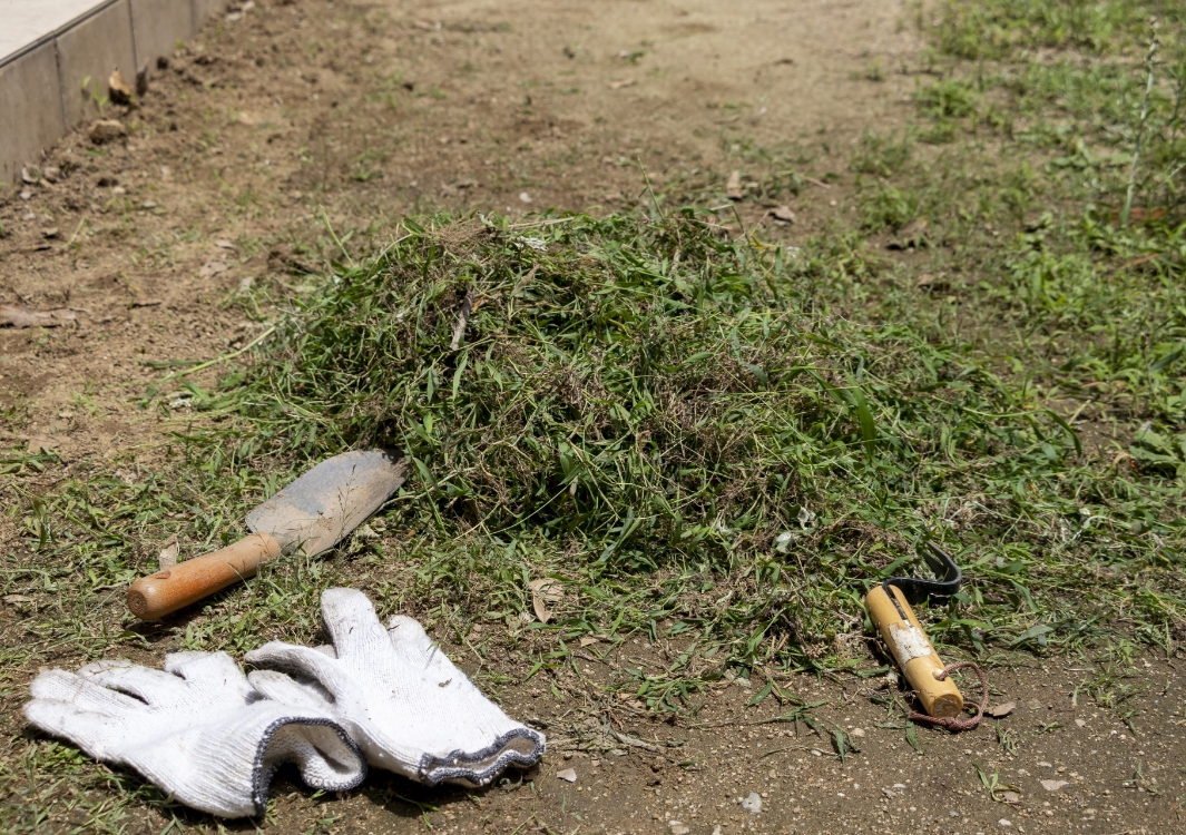 草の状態に合わせた刈り取り作業