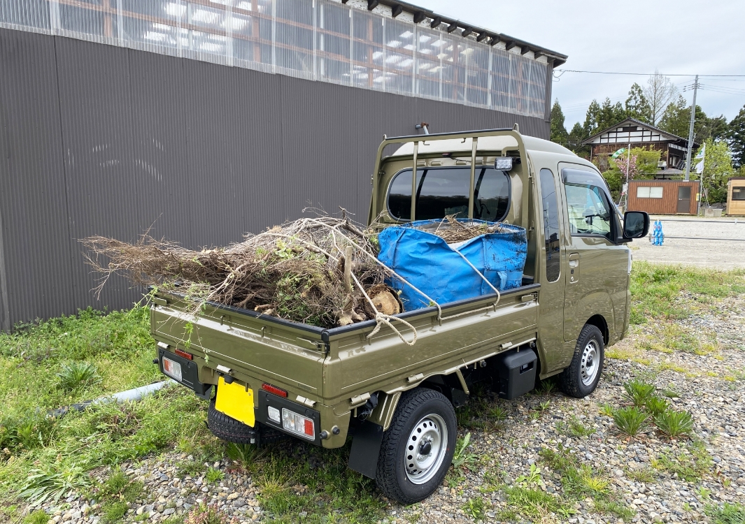 刈草の回収と敷地の整理