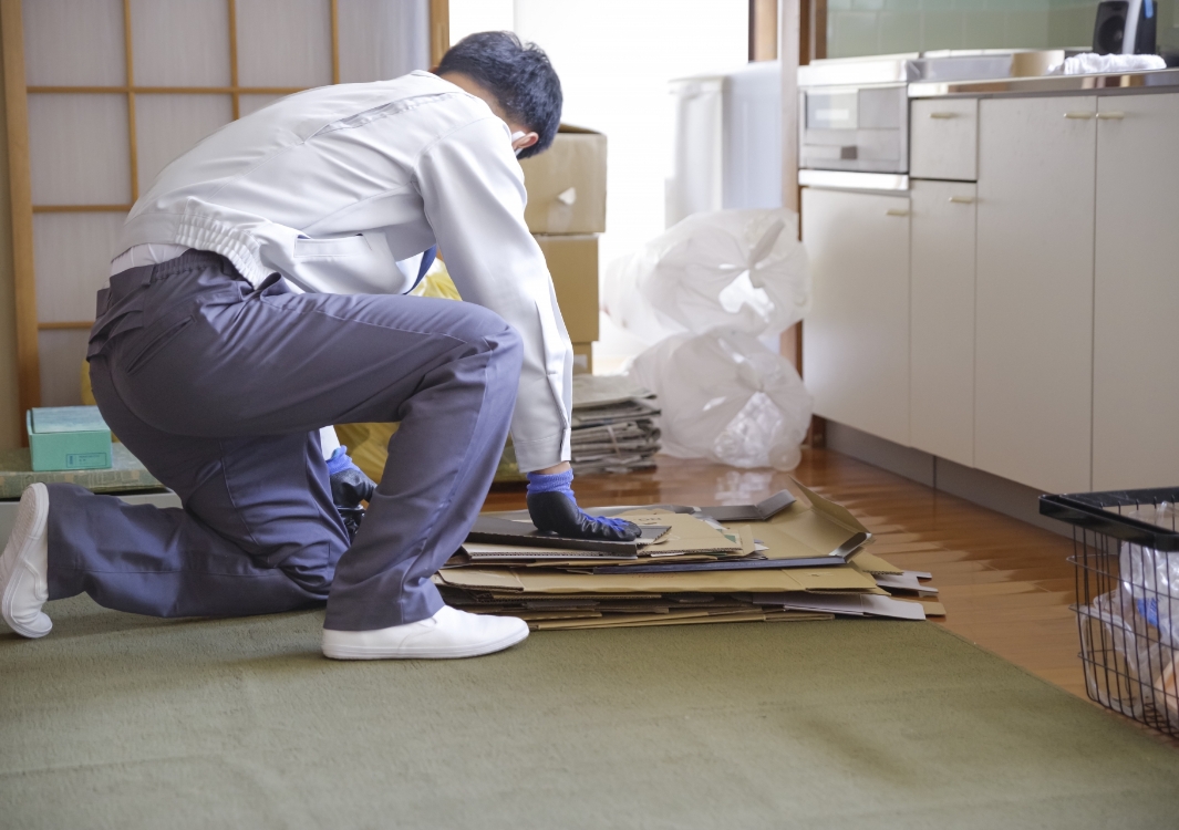 室内全体の片付け対応